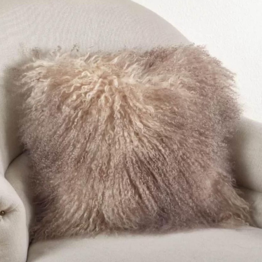 All Modern Iyana Wool Throw Pillow Cover & Insert